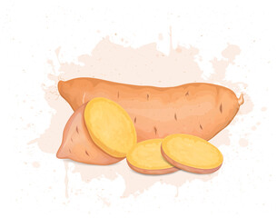 A Sweet Potato Root vegetable with half pieces of sweet potato and slices vector illustration