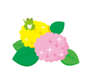 かわいいカエル　紫陽花　ベクターイラスト