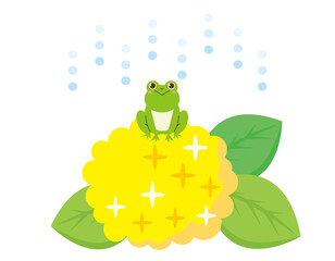 かわいいカエル　紫陽花　ベクターイラスト