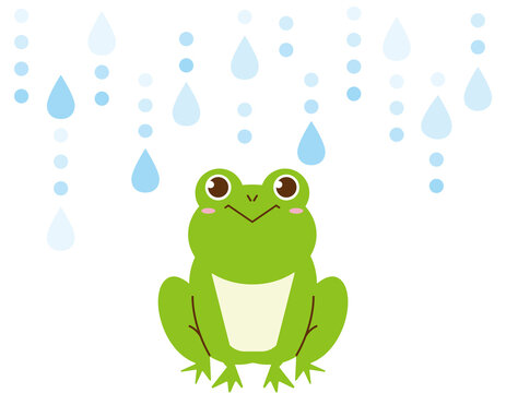 カエル Images Browse 11 019 Stock Photos Vectors And Video Adobe Stock