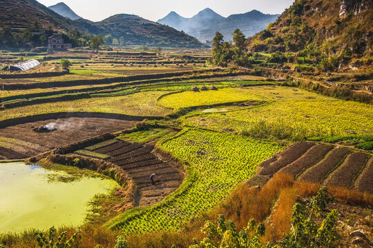 Chinese Peasant Working Fields, Guizhou, China