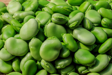 Healthy organic green raw broad beans