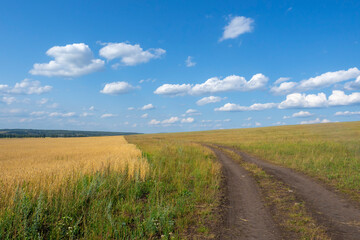 Dirt road along a yellow wheat field. Rural landscape with beautiful clouds on a blue sky.