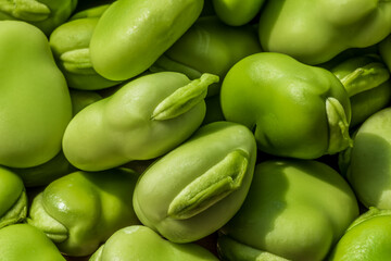 Obraz na płótnie Canvas Healthy organic green raw broad beans