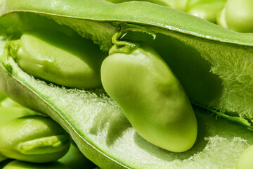 Both broad bean pods and shelled seeds. Healthy organic green raw broad beans.