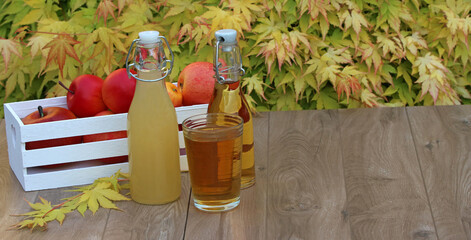 Flasche und Gläser mit Apfelsaft auf einem Tisch im Garten.