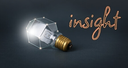 Light bulb and word INSIGHT on dark background