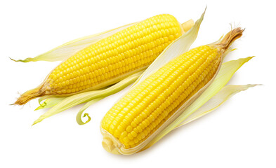 Sweet corn isolated on white background, Sweet corn on white background With clipping path.