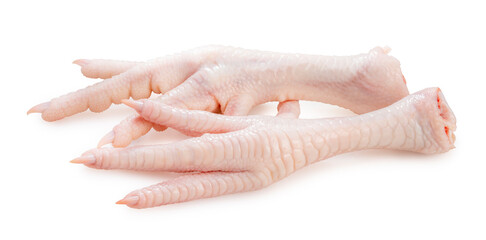Fresh Chicken feet isolated on white background, Raw Chicken feet on white background With clipping...