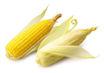 Sweet corn isolated on white background, Sweet corn on white background With clipping path.