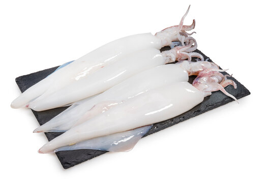 Fresh Squid isolated on white background, Fresh Splendid Squid on black plate With clipping path.