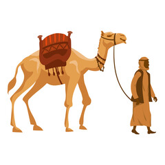 Camel and Arab man cameleer. Vector illustration