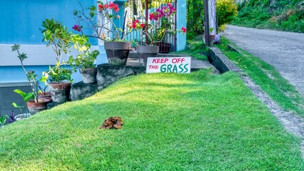 A large pile of dog poop on a pristine green residential lawn that has a sign warning to keep off...