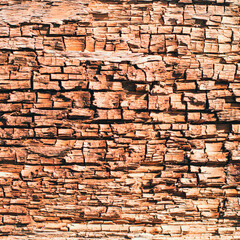 Old rotten wood with cracks and spore fungus. White mold on a wooden board. Pattern of mold on the wood, background or texture.