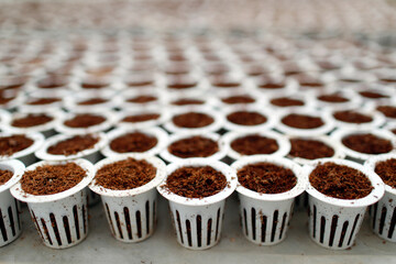 Agriculture. Asia. Daily life. Asia.