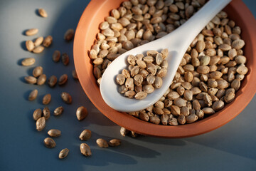 A bunch of cannabis seeds lie on a spoon and plate. Hemp grain on blue background, top view.