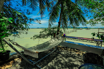 The close-up natural background of green rice fields, behind a large mountain and mist flowing through the blurred foliage, is a natural beauty seen in the countryside