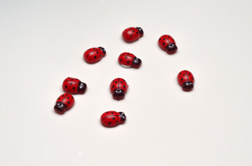 decorative ladybugs made of wood on a white background