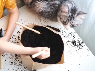Little toddler girl planting seeds in the pots with cat. Love of pets. Funny and curious pets. Home gardening, transplanting plants, seedlings
