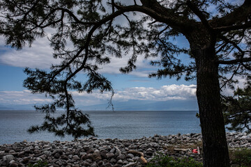 御浜岬公園周辺にて