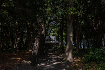 Fototapeta premium 御浜岬公園周辺にて