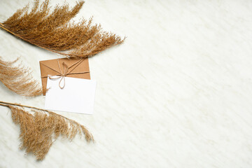 Envelope with blank card and pampas grass on white background