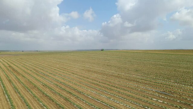 aerial shot of crops fields at sdot negev , israel state