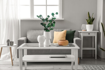 Interior of light living room with sofa, houseplants and vases with eucalyptus - obrazy, fototapety, plakaty