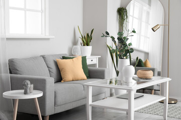 Interior of light living room with sofa, houseplants and vases with eucalyptus