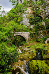 Fototapeta premium Les Gorges du Nan à Cognin-les-Gorges