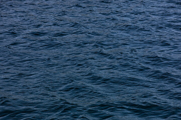 あわしまマリンパークの海