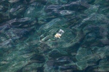 あわしまマリンパークの海