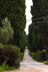 Castello e borgo di Poppiano, Chianti. Toscana, Italia