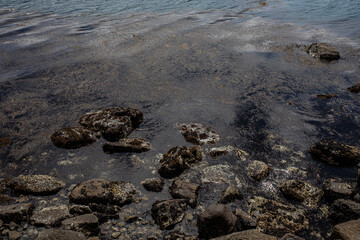 あわしまマリンパークの海