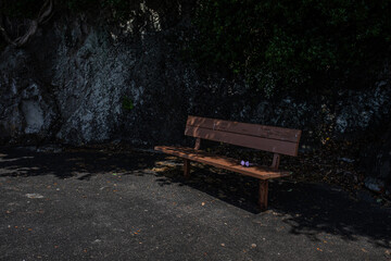 あわしまマリンパークのベンチと忘れ物