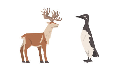 Uria Seabird and Reindeer with Antlers as Arctic Animal and Wild Mammal Vector Set