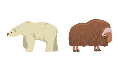 Bear and Muskox with Horns as Arctic Animal and Wild Mammal Vector Set