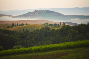 Fototapeta premium Chianti, Toscana. Paesaggio all'alba, colline tra la nebbia