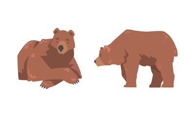 Brown Bear as Large Wild Terrestrial Carnivore Mammal with Thick Fur Lying and Standing Vector Set