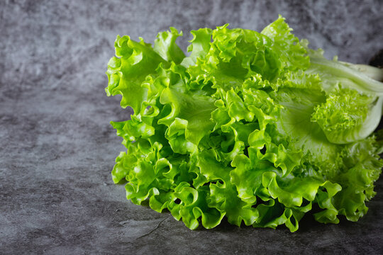 Single lettuce head over rustic grey background