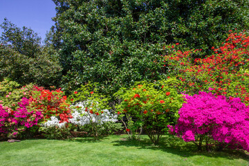 Villa Taranto botanical garden, Lombardy, Italy