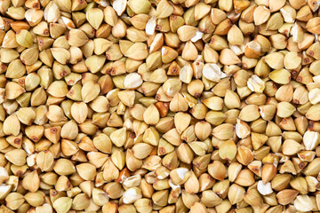 fresh buckwheat. dry buckwheat background. buckwheat texture.