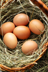 Chicken eggs in a basket with hay.