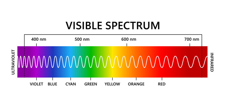Visible light spectrum, infared and ultraviolet. Optical light wavelength. Electromagnetic visible color spectrum for human eye. Gradient diagram. Educational vector illustration on white background.
