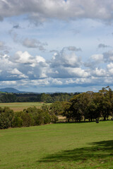 Fototapeta na wymiar Landscape Tarrawarra, Victoria, Australia, Landscape