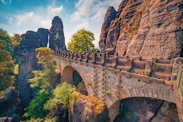 Papier peint Le pont de la Bastei Scène matinale majestueuse d& 39 une falaise de grès dans le parc national de la Suisse saxonne avec le pont Bastei. Incroyable lever de soleil d& 39 été en Allemagne, en Saxe, en Europe. Fond de concept de voyage..