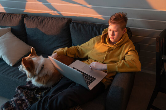 Boy using laptop sitting with dog on sofa at home