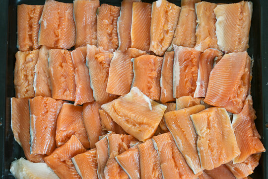 Many prepared portions of raw char fish ready for frying, cooking in a professional restaurant kitchen, full frame background, top view from above