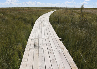 Wooden flooring of a swamp eco-trail without people, passing directly above the swamp.