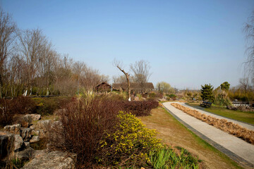 country road in spring